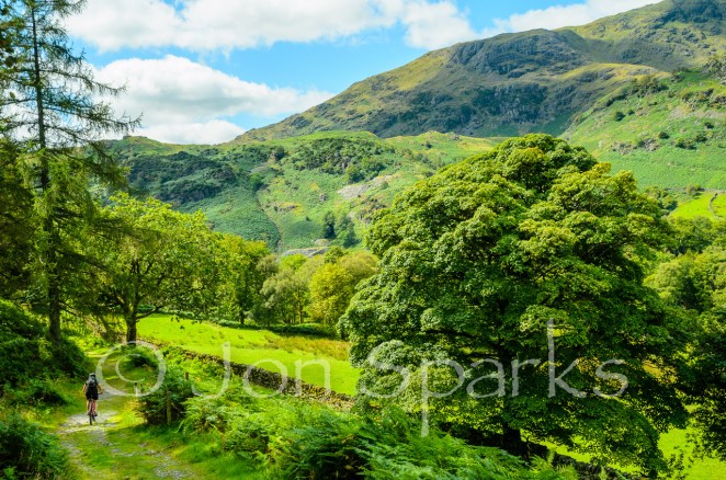 Dick's trail might have looked a bit like this (and that's High Topps, or Yewdale Fells, in the background)