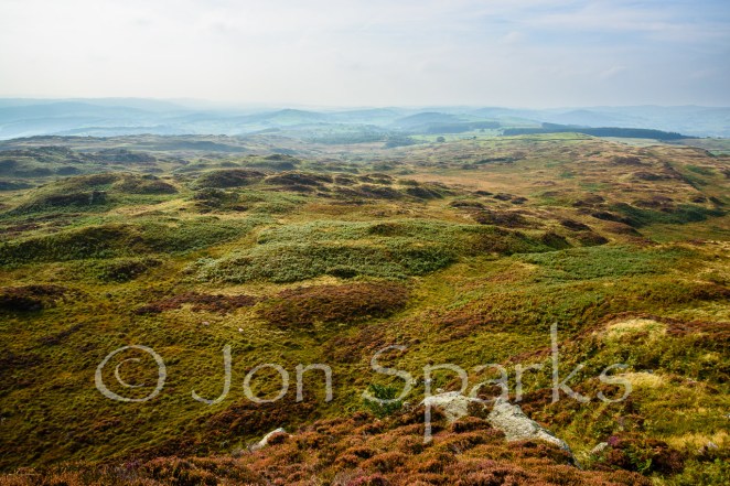 "Mile upon mile of green and purple moorland". And this is just a bit of it. Bethecar Moor, looking south from Arnsbarrow Hill.