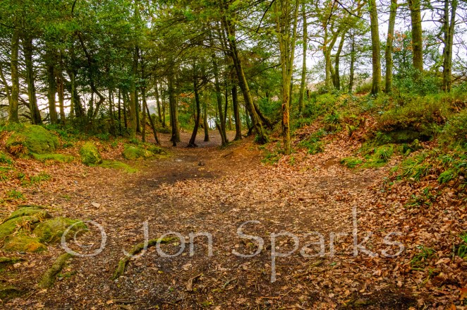 The middle of Peel island